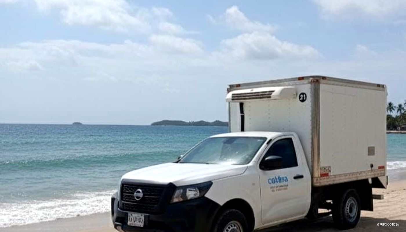 Transporte refrigerado en costa